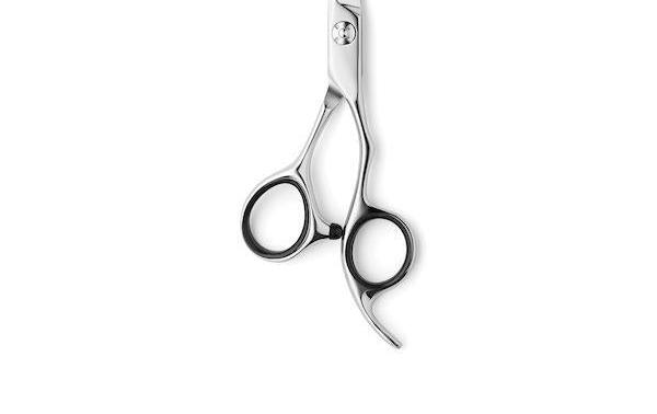 Matsui Aichei Mountain Offset shear (1825698316349)